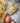 Pasta from scratch 101